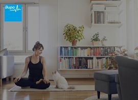 Bupa Pet Insurance