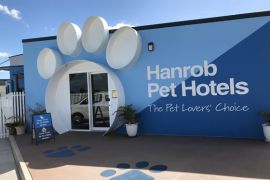 Hanrob Pet Hotels - The Social Pet Package 